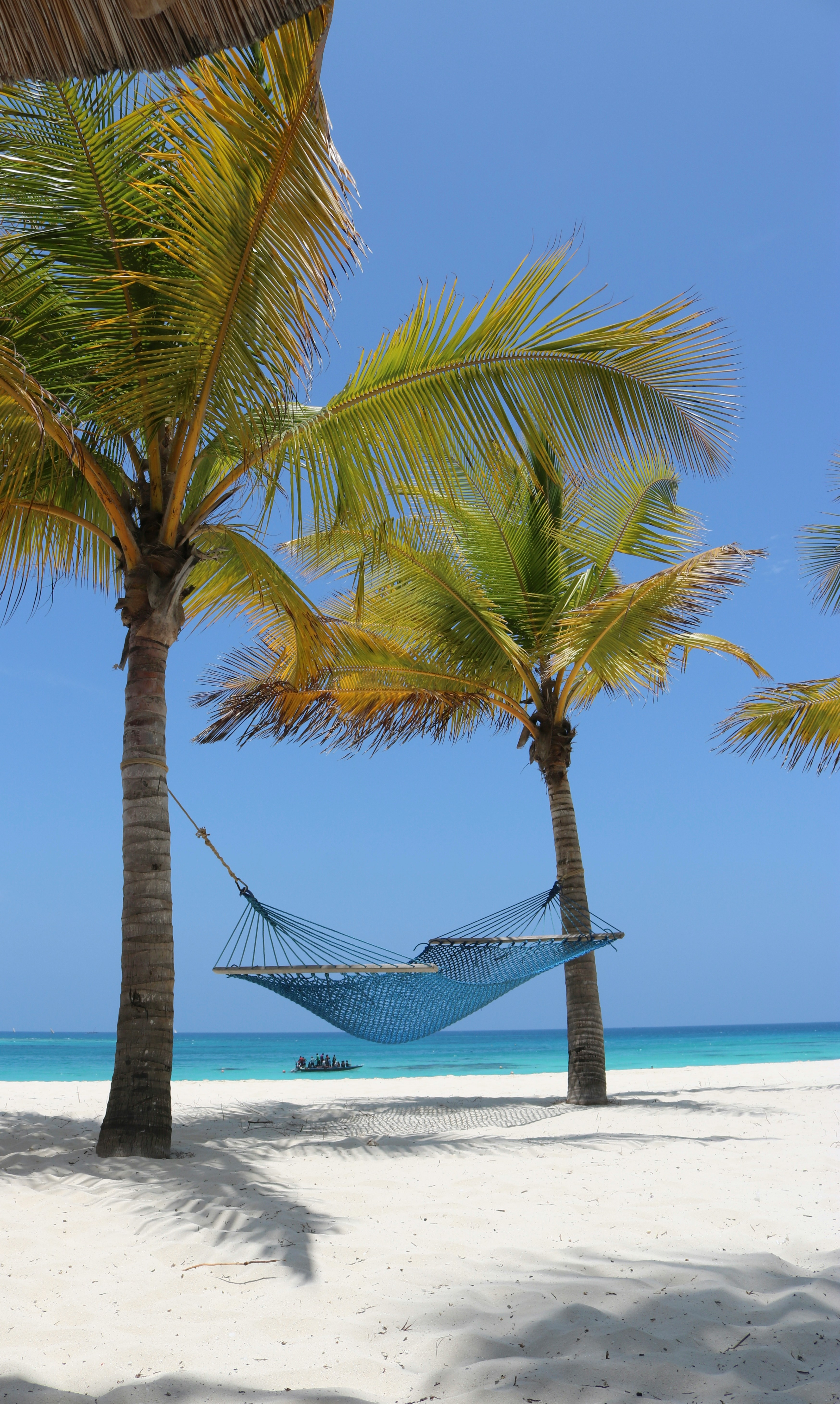 Zanzibar beach background